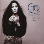 Am I Blue by Cher