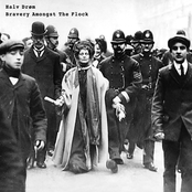 Bravery Amongst the Flock