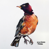 Foma