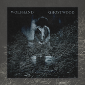 Ghostwood