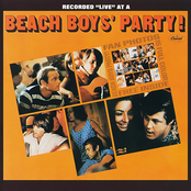 beach boys' party!