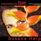 Danza De Los Diablos by Susana Harp