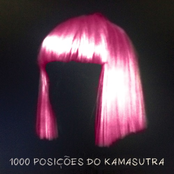 1000 Posições do Kamasutra