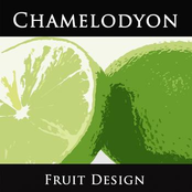 Chamelodyon