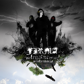 Nielegalne Rytmy Kontynuacja