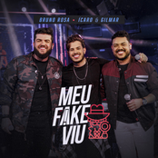 Meu Fake Viu (Ao Vivo)