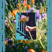 Rosie Tucker: UTOPIA NOW!