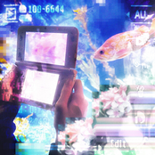 Ephemeral Nature, Digital Capture