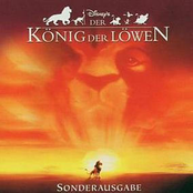 Der König der Löwen