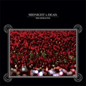 MIDNIGHT is DEAD.