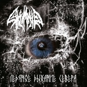 Ледяное Дыхание Севера