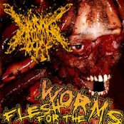 flesh for the worms Album Picture