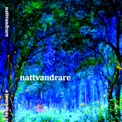 A Journey To Enlightenment