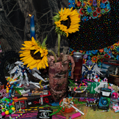 noisecorps.medicine.exe