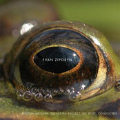 Evan Ziporyn: Evan Ziporyn: Frog's Eye
