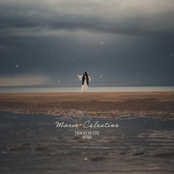 Traces in the Wind - Single