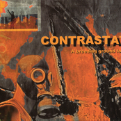 A Breeding Ground For Flies