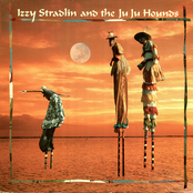 Take A Look At The Guy by Izzy Stradlin And The Ju Ju Hounds