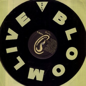 Bloom Live Vol. 1