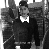 Aneesa Strings: The Calm