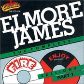 I Need You by Elmore James