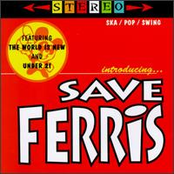 Save Ferris: Introducing Save Ferris