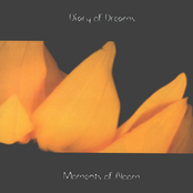 moments of bloom