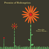 When the Flowers Bloom…