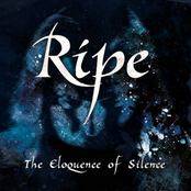 A Riddle In The Dark by Ripe