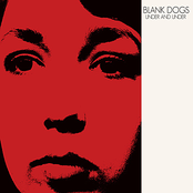 Tin Birds by Blank Dogs