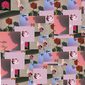 5atisfact!on Guaranteed