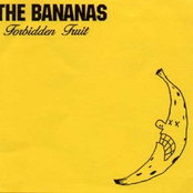 Feel Good Hit Of The Summer by The Bananas
