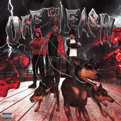 off the leash! (feat. yvngxchris & Luisss) - Single