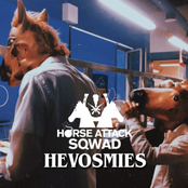 Hevosmies