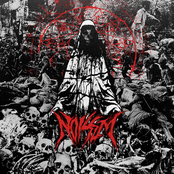 Desire And Disgust by Noisem