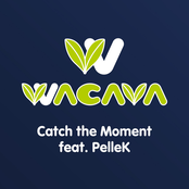 Catch the Moment (feat. PelleK)