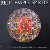 Set The Controls by Red Temple Spirits