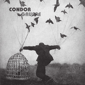 condor gruppe