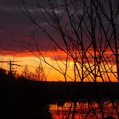 I Could Never Be Loved