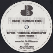 Family Fortunes / Steppa