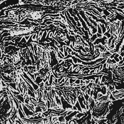 Now You See Me, Now You Don’t