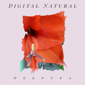 Digital Natural