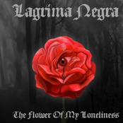 The Sound Of A Synth by Lagrima Negra