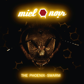 The Phoenix-Swarm