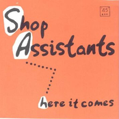 Too Much Adrenalin by Shop Assistants