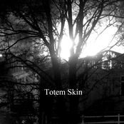 Totem Skin Ep