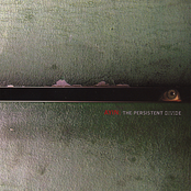 The Persistent Divide