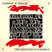 The Direction Of History 12"