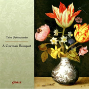 Nobleman by Trio Settecento