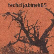 Tscheljabinsk65